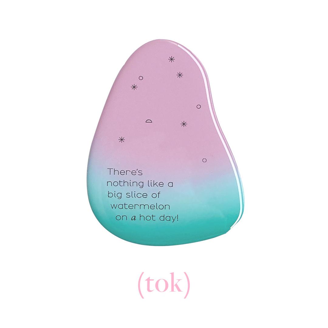 [파크빈] watermelon phone tok