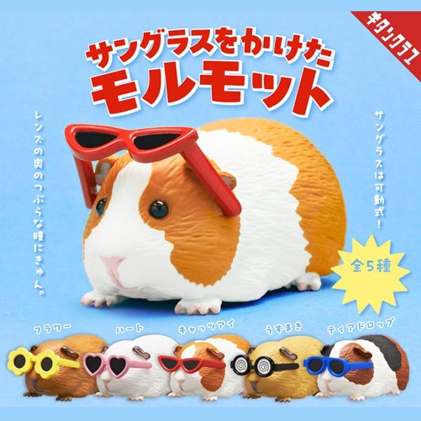 선글라스를 낀 기니피그 캡슐토이 가챠