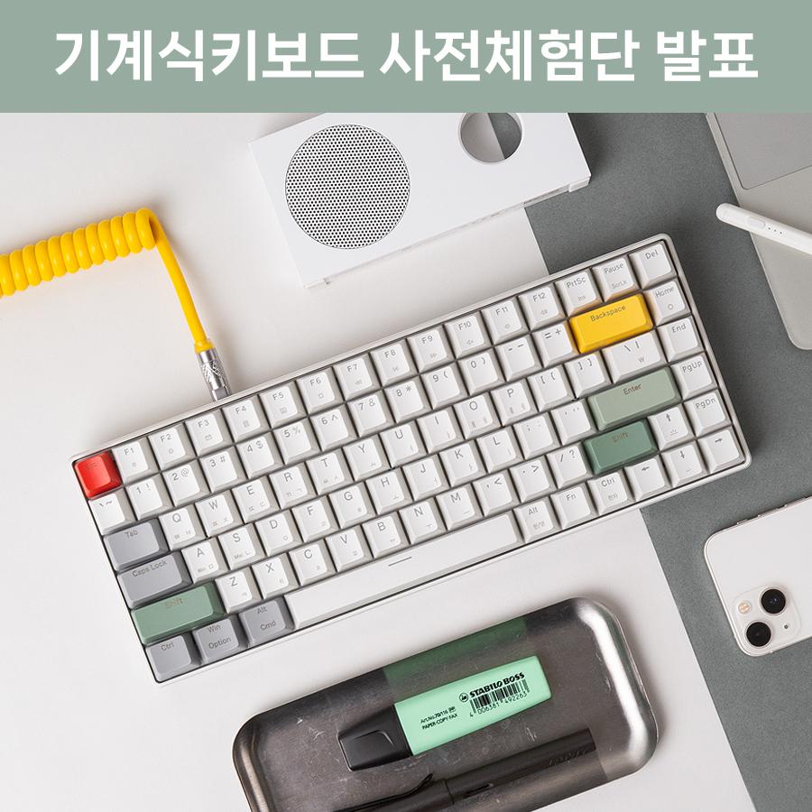 [사전체험단 발표] 라이프썸 유선 기계식 키보드 (LFS-HA51) 적축 갈축 청축