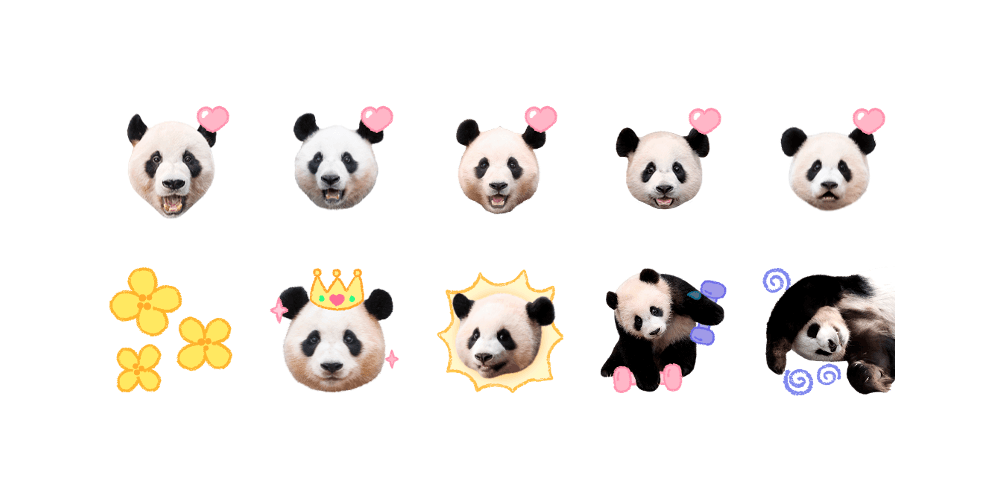 쪼꼬미 판다 (바오패밀리)