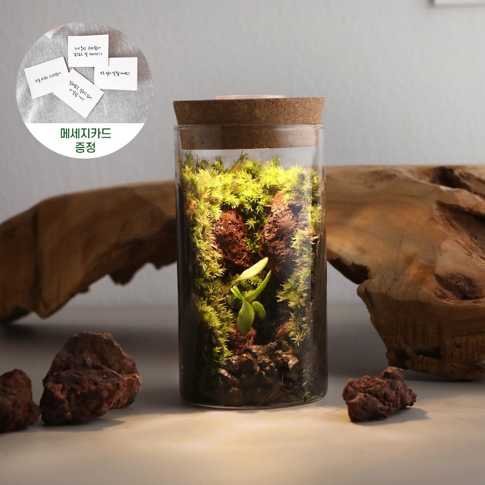 "개업&이사 집들이 선물" 유리 정원 비바리움&테라리움 만들기 미니 DIY키트 무드등+엽서