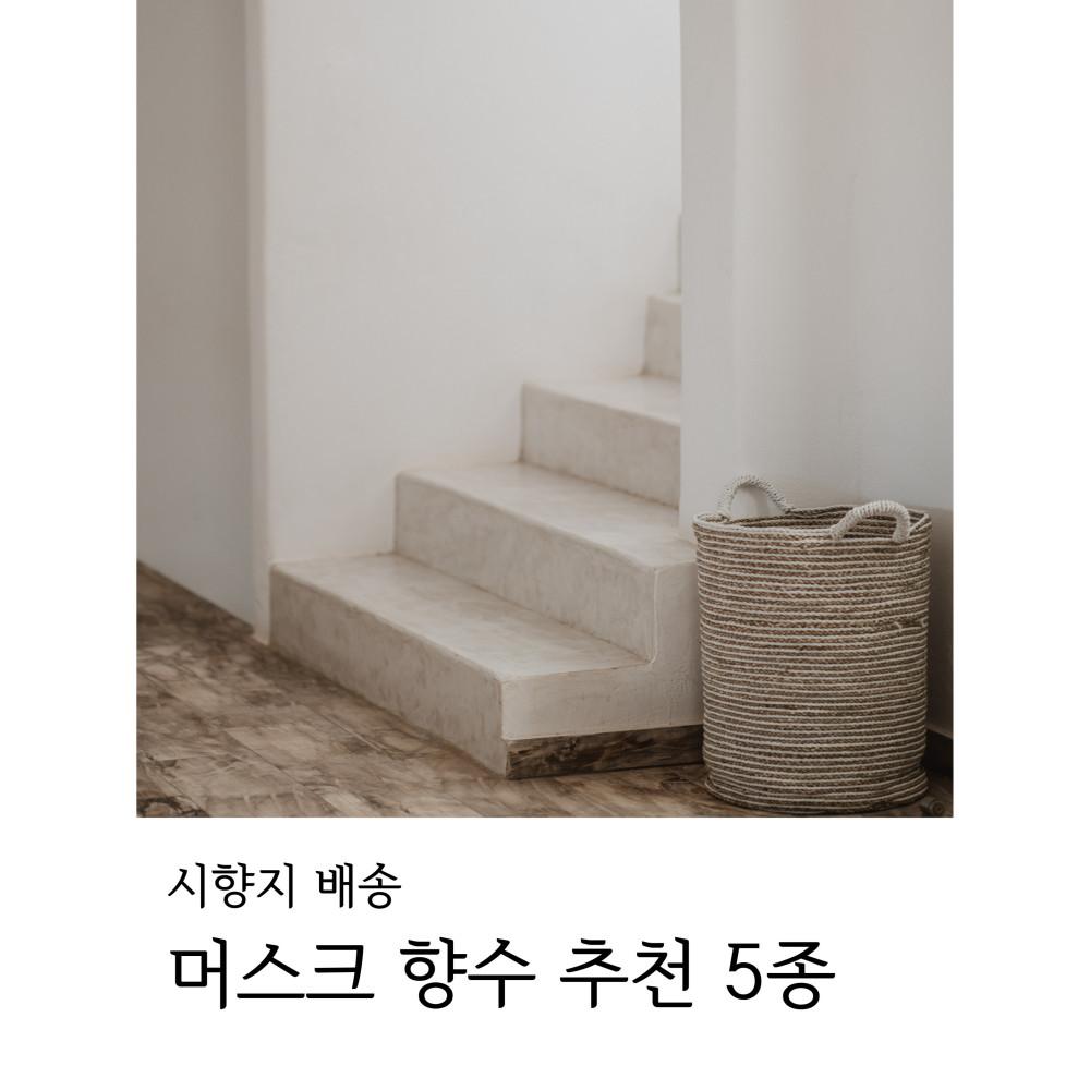 [시향지 배송] 머스크 향수 추천 시향카드 5종 세트