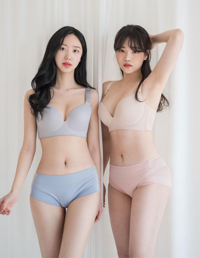 정착 브라