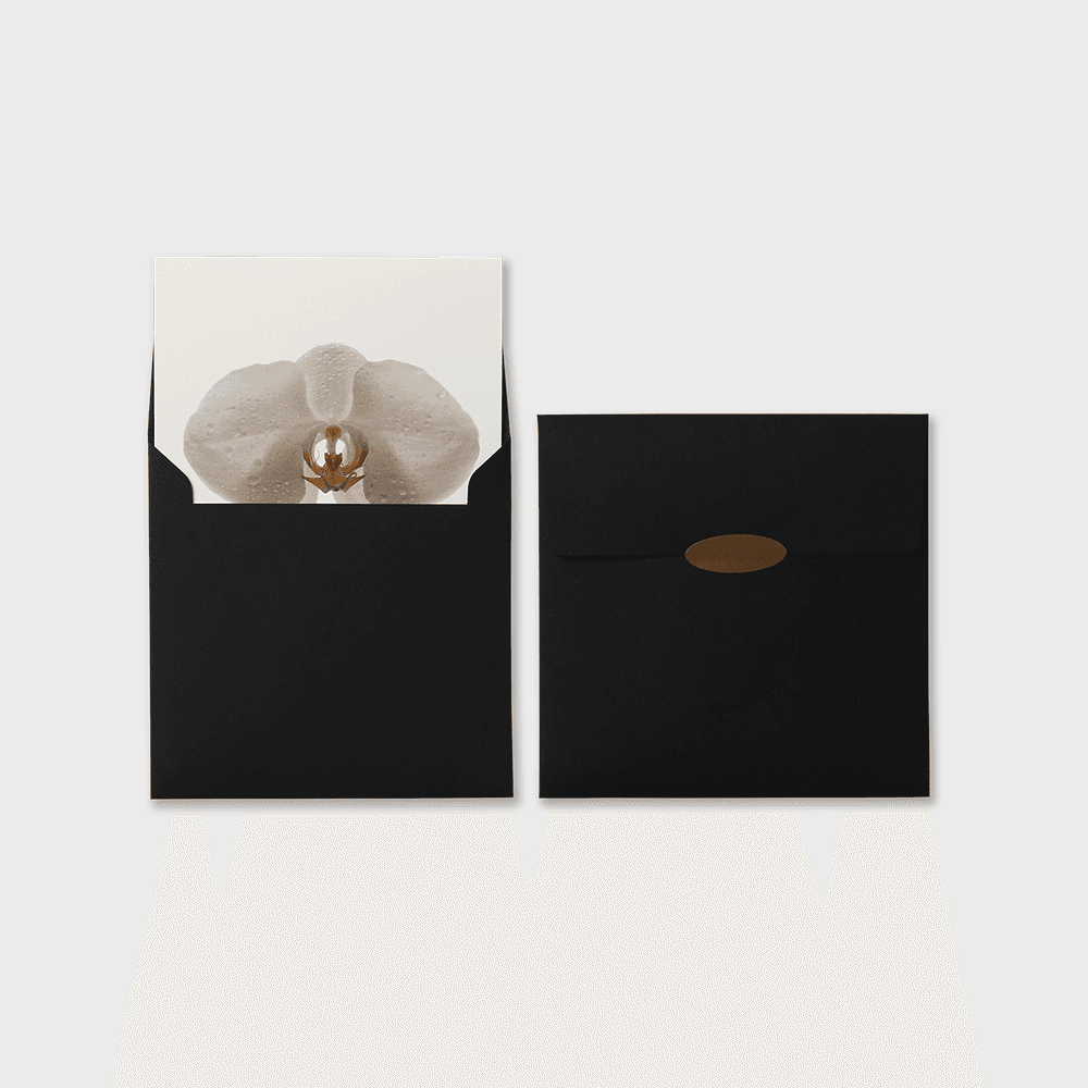 Flower Card l Moth Orchid 호접란