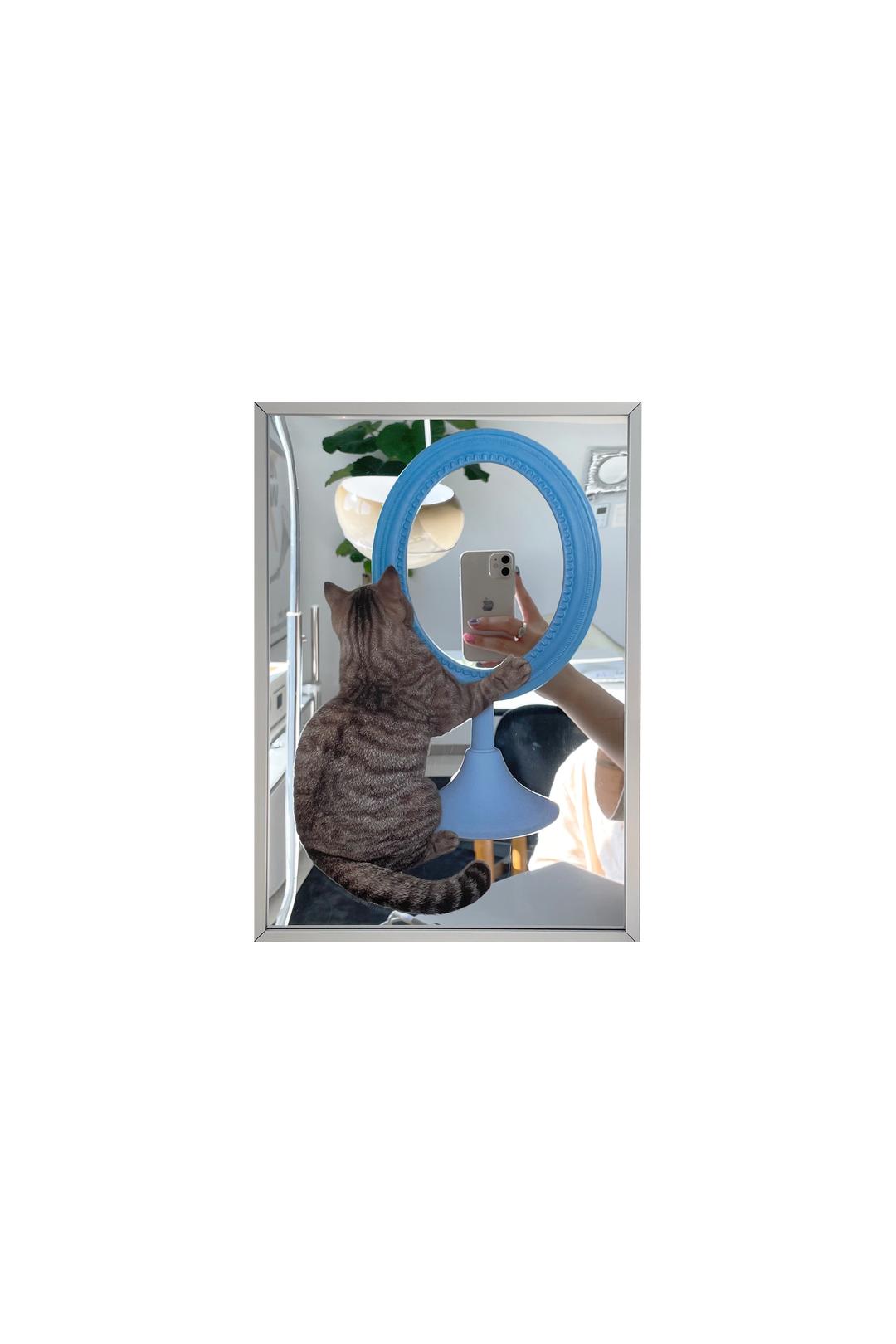 mirror cat poster mirror
