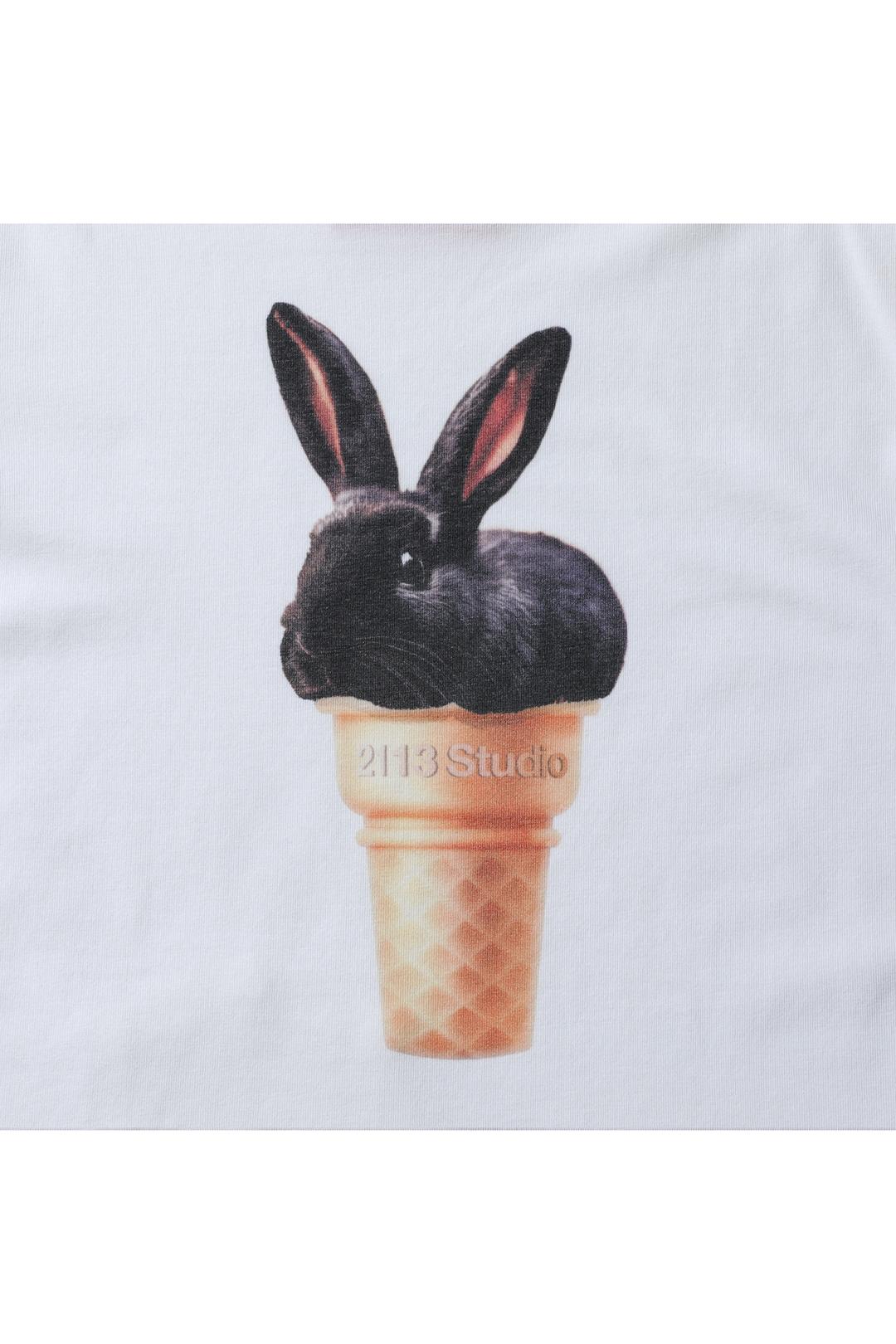 Crop Tshirts No.11