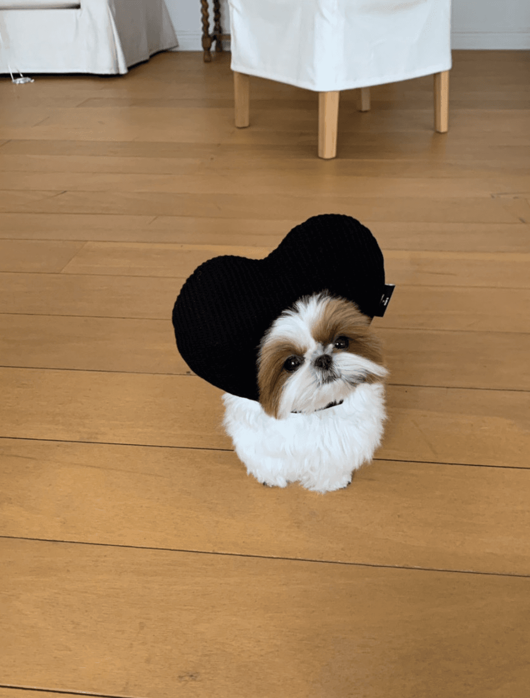 [taktaktaktak] 하트 모자 (black, stripe)