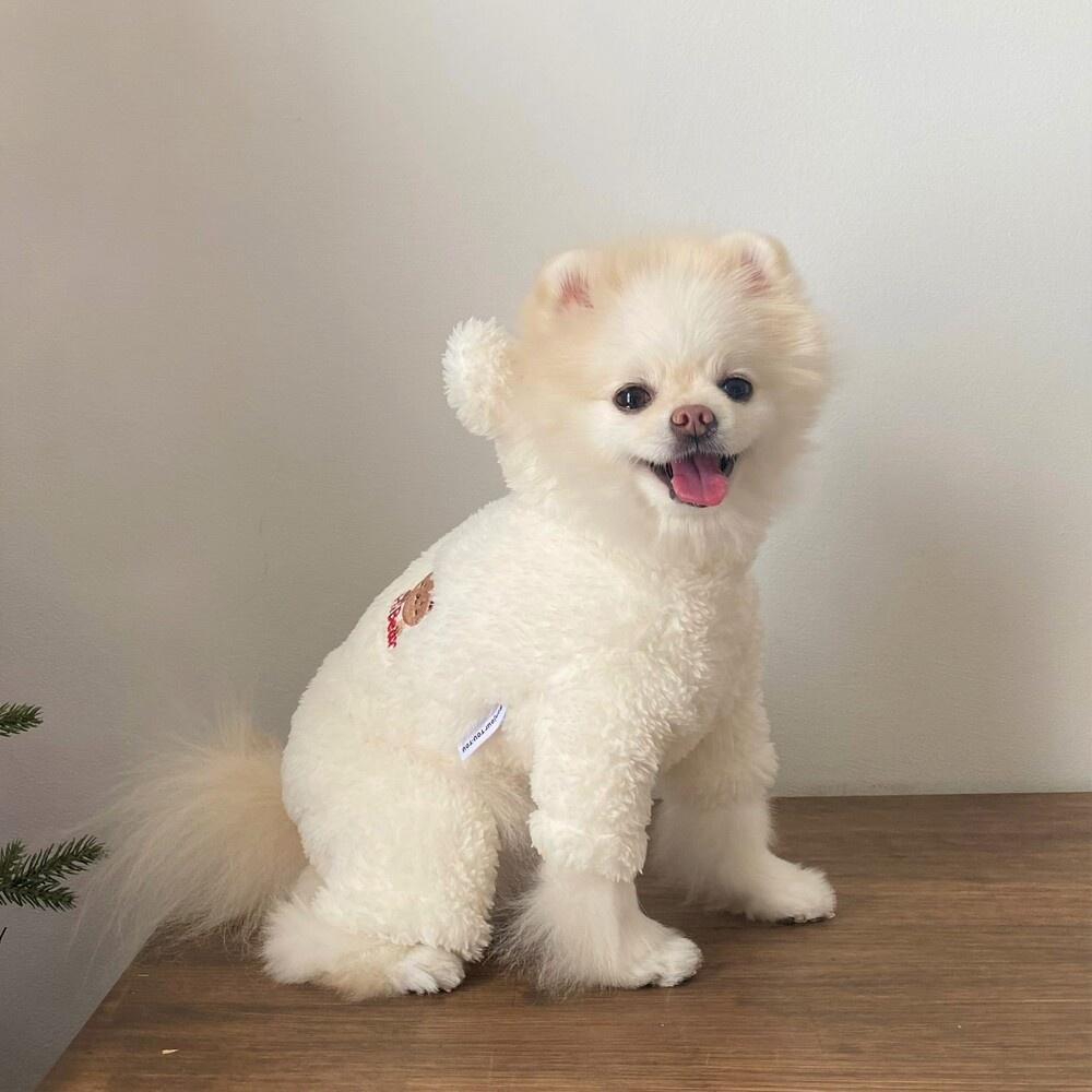 Hi bear 보아 올인원_크림