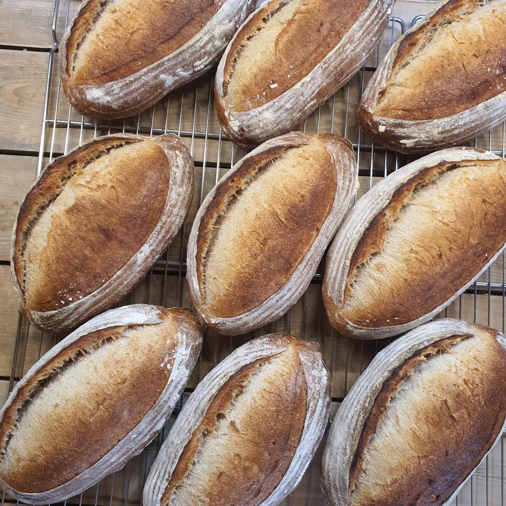 [의정부 르뱅브레드](비건)통밀깜바뉴 약600g 무첨가 비건브레드 무버터 무우유 무계란 무설탕 고소 담백 쫄깃 샌드위치 식사빵 바게트 식단관리 식이조절  신메뉴특별할인가