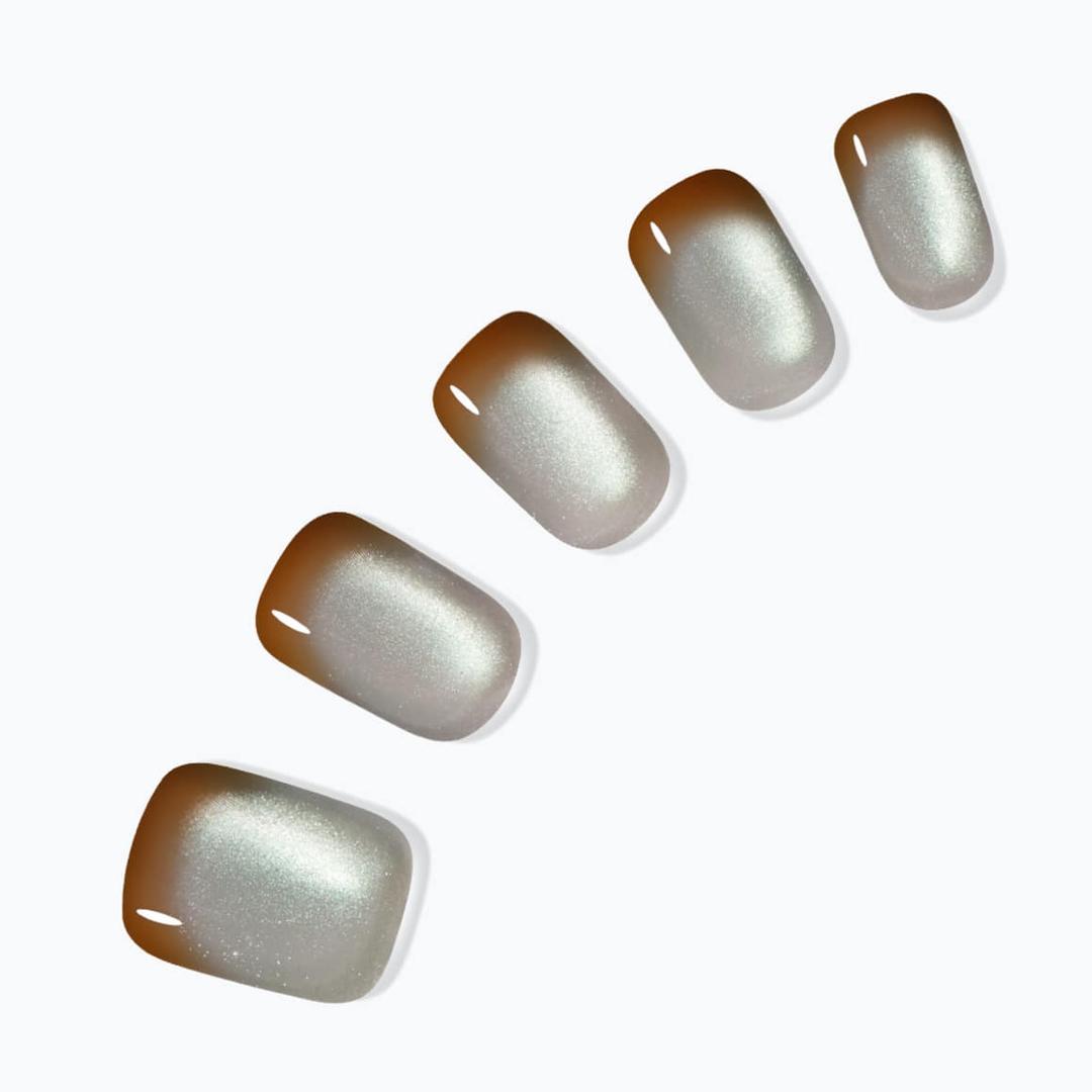 스머지 세이지(레귤러 라운드)