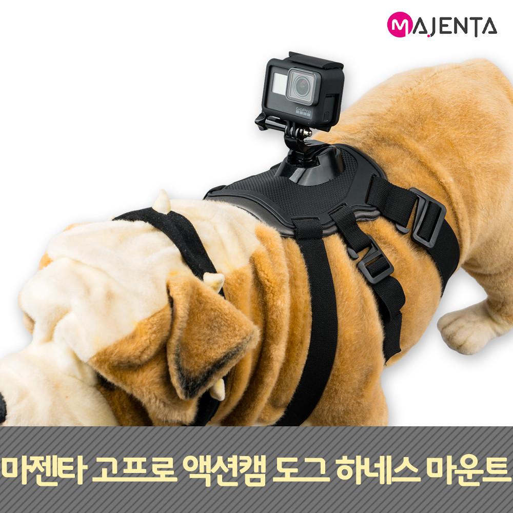 마젠타 고프로 액션캠 도그 하네스 애완견 마운트