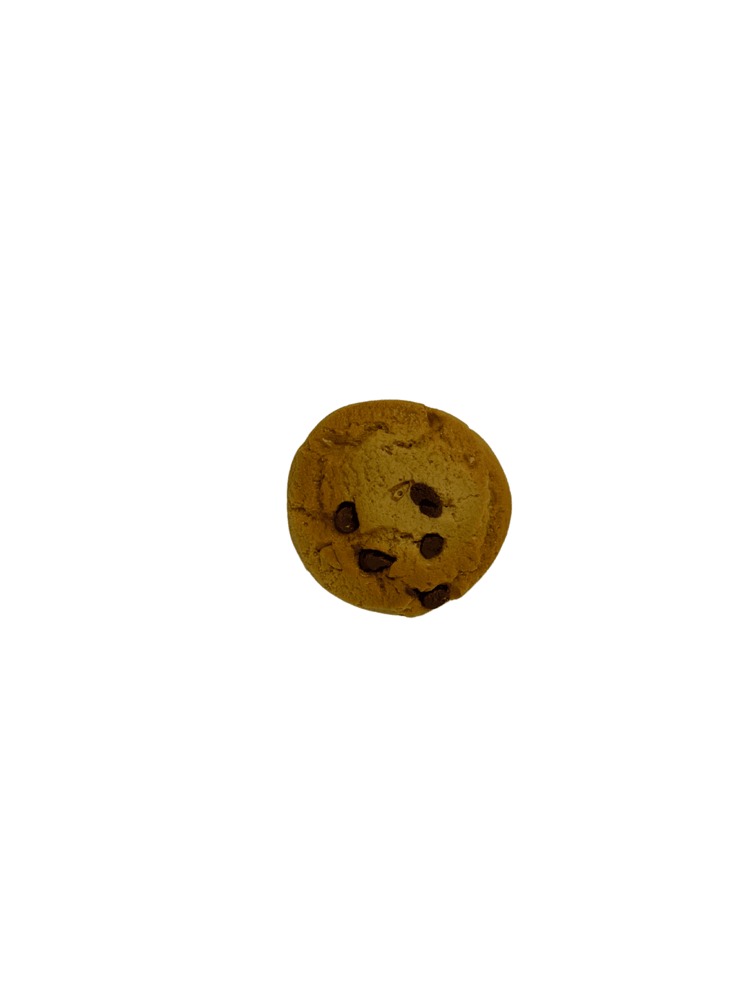 Butter Cookie Point Magnet (Chocolate chip)