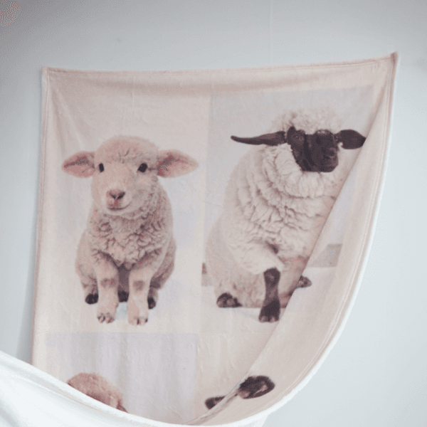 Long live the sheep Blanket