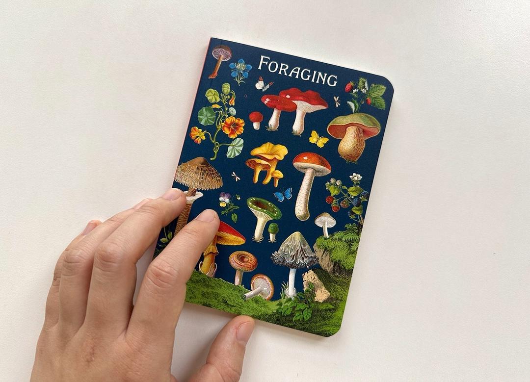 mushroom mini note_line
