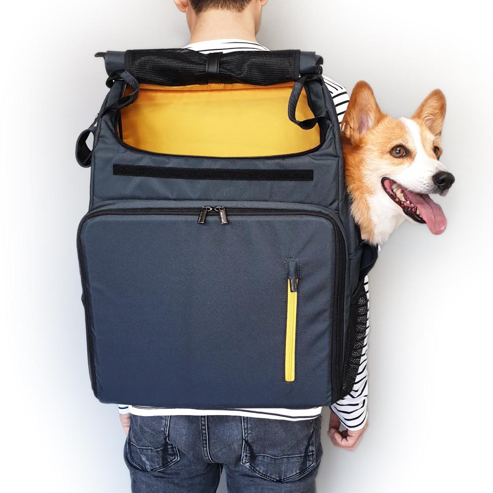 인사이드독앤캣 L백팩- 반려동물 이동가방 그레이옐로우