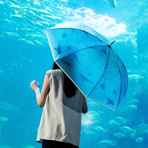 아쿠아리움 비닐 투명우산 PT-EN