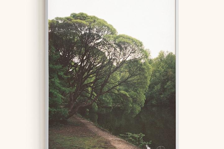 인테리어 액자 포스터 / Lake Garden