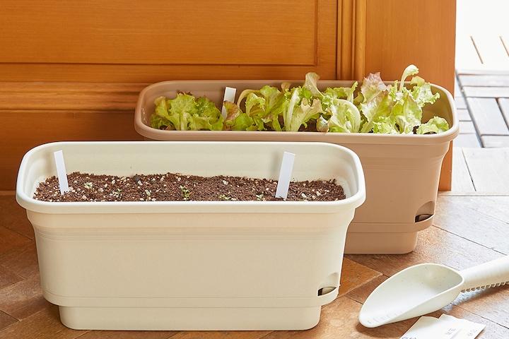 저면관수 자동급수 텃밭 키우기 화분 (배양토, 씨앗 추가구매가능)