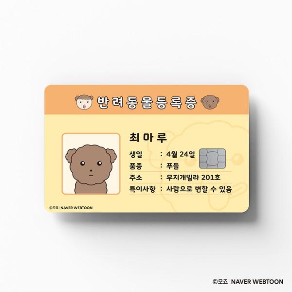 [EZFIT] 마루는 강쥐 - 반려동물 등록증