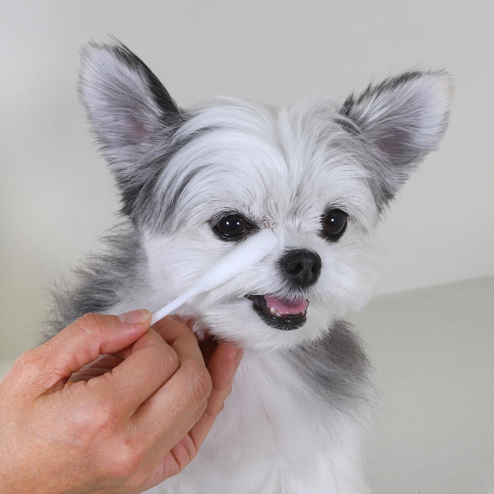 바이랩 강아지 눈물자국 눈 세정제 눈물냄새 아이클리너 : 바이랩 브랜드스토어