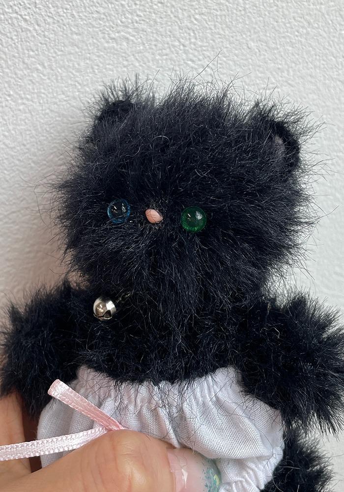 블랙고양이(오드아이)