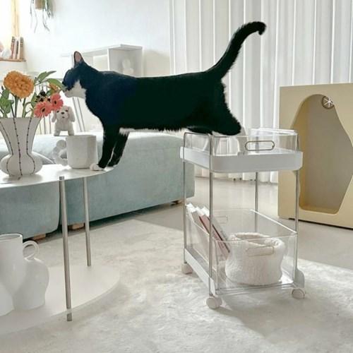 미드센추리 2단 이동식 선반