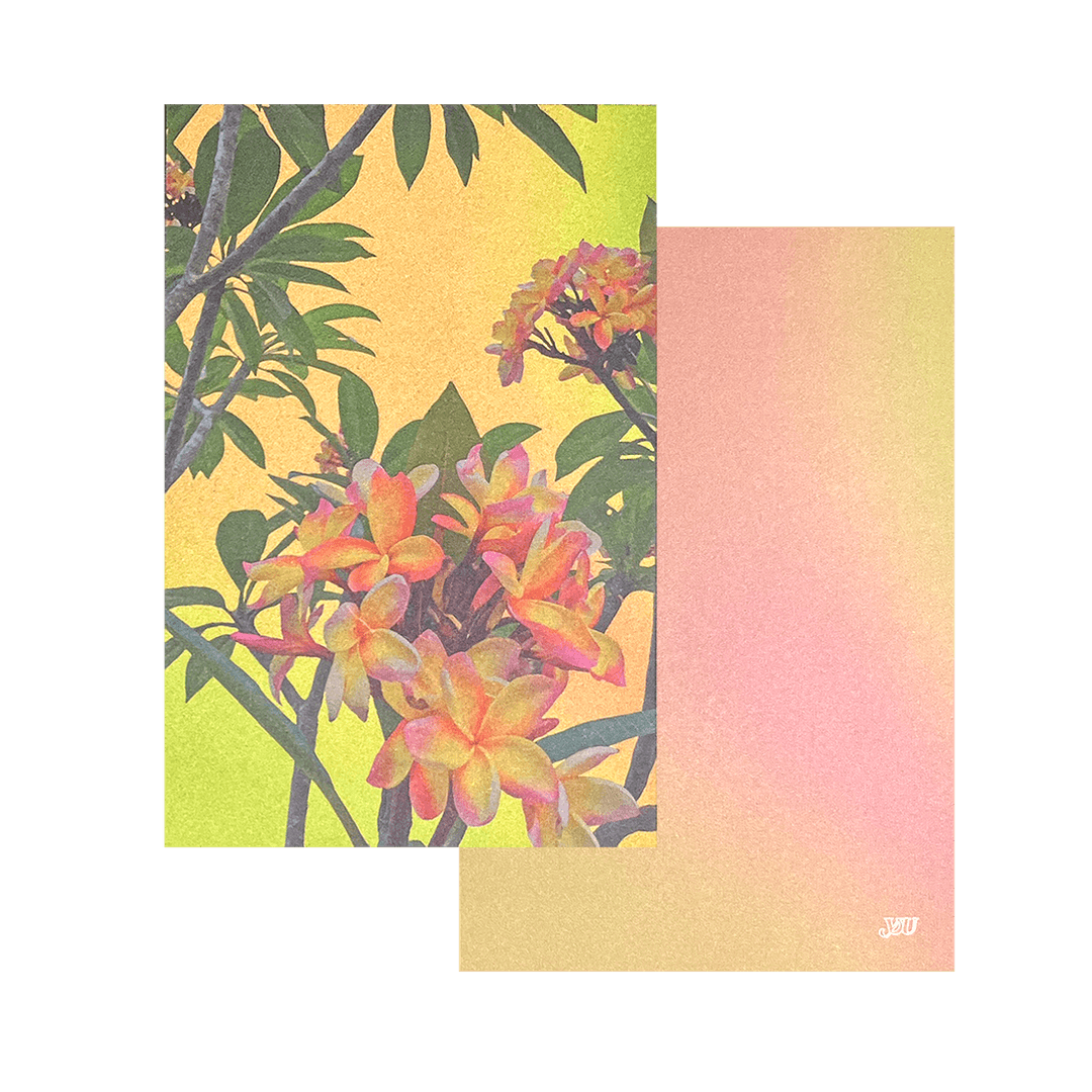 Vacation Postcard Sydney