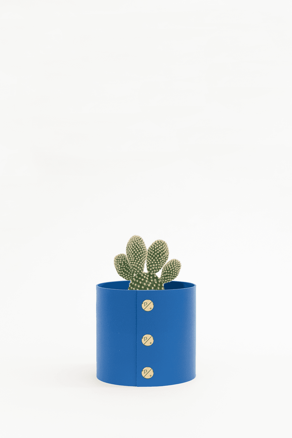 팟커버 P + 백도선