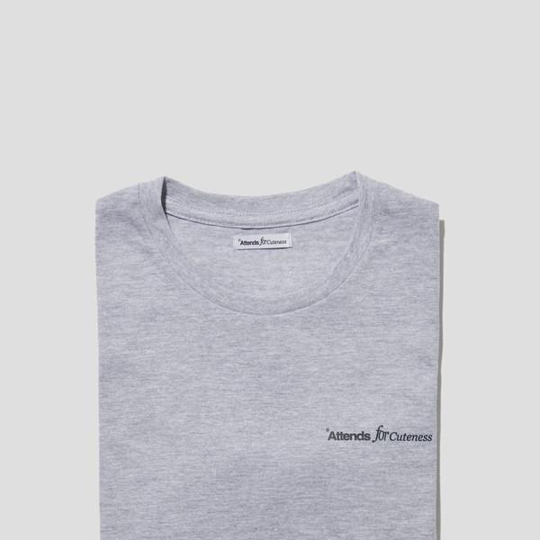 Basic Tee Shirt (Gray)