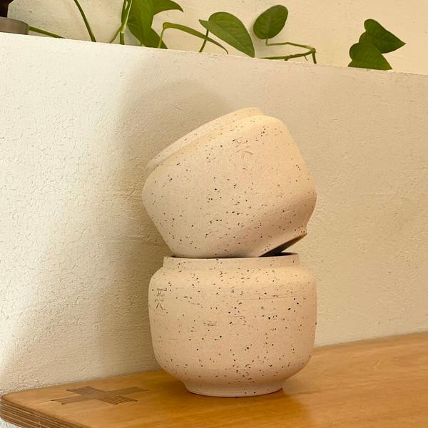 허니팟 스타더스트 S, M