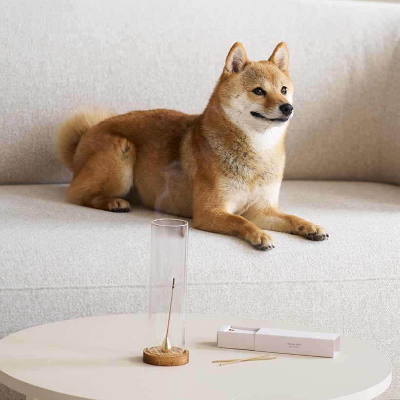 반려동물 천연 바질 인센스 bite the basil