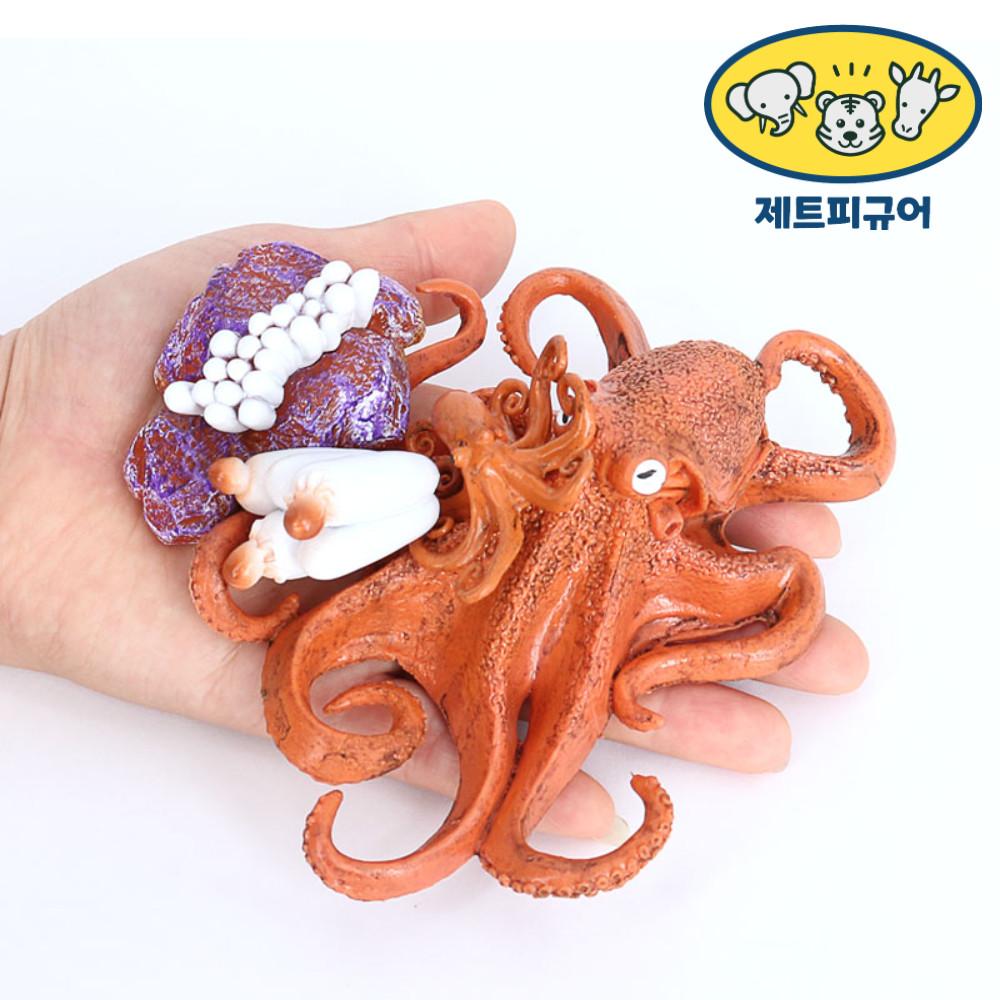 제트피규어 문어 성장과정 성장 한살이 피규어 동물 모형 장난감