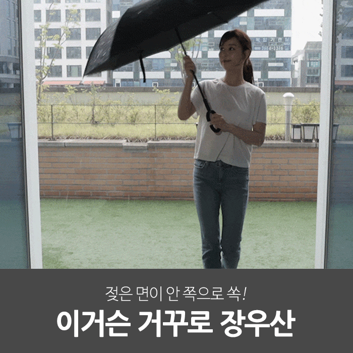 일상공감 이거슨 거꾸로 장우산