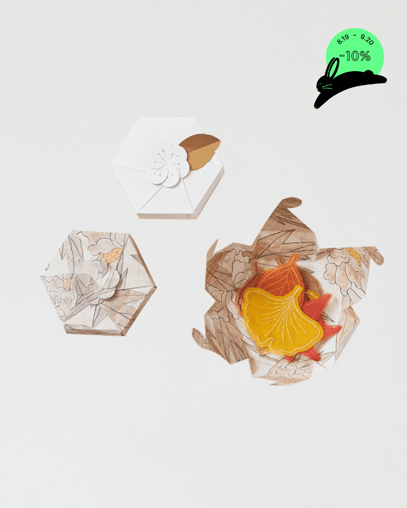 낙엽 채화 티코스터 세트