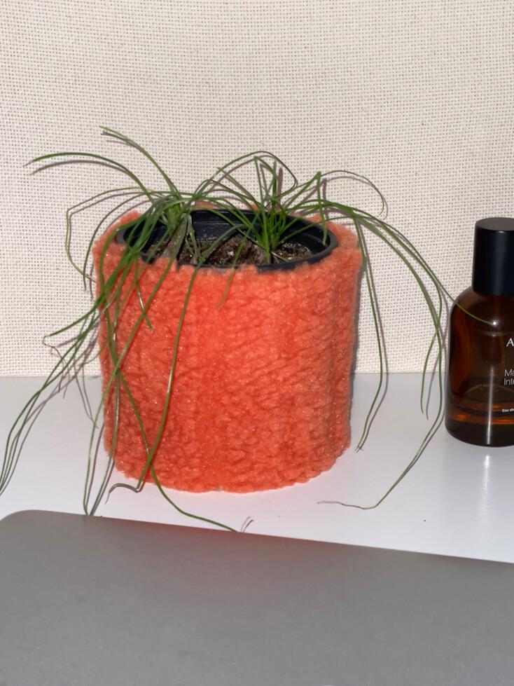 pot cover - carrot 팟커버