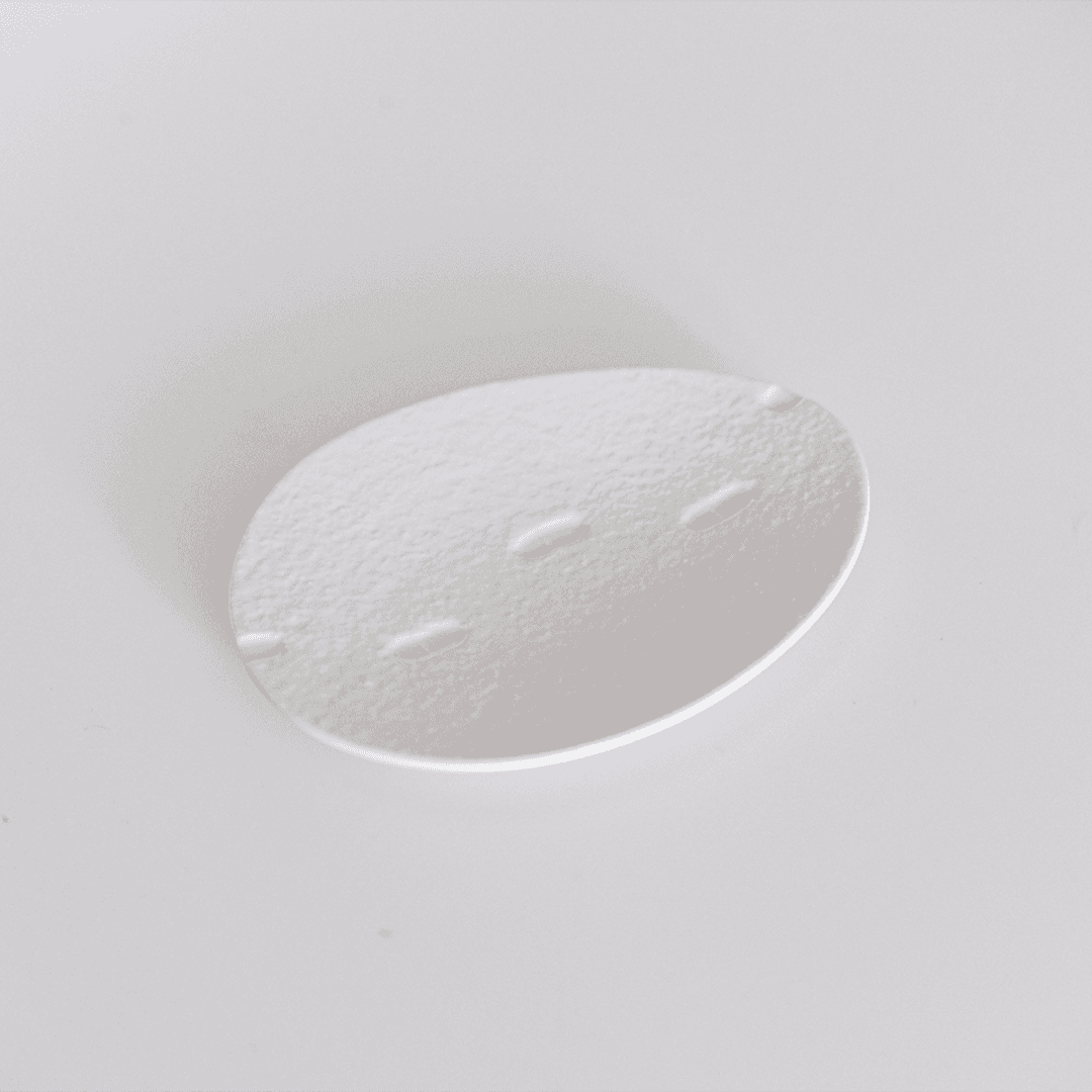 스노우 왈츠 플레이트 - 오벌 (2 SIZE)