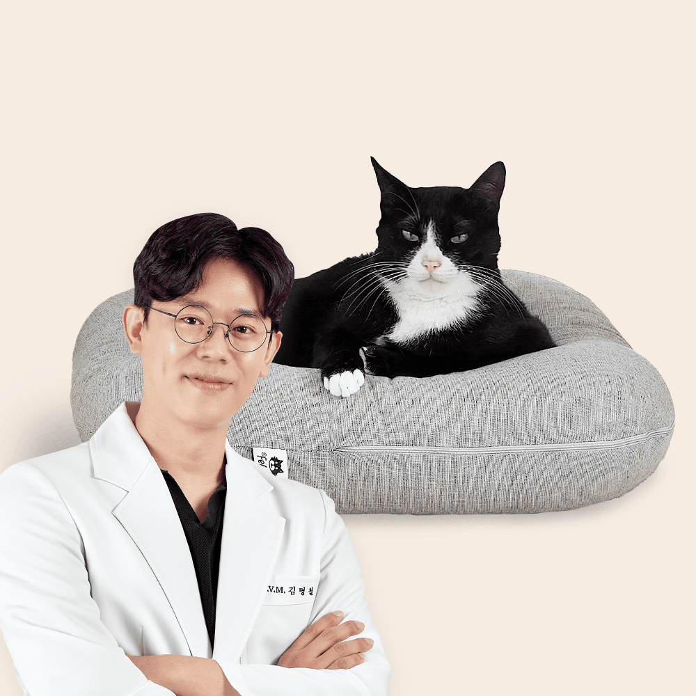 [웰컴딜] [리뉴얼] 닥터펠리스 포캣네스트 브라운/그레이 + 미니 러빙매트 증정