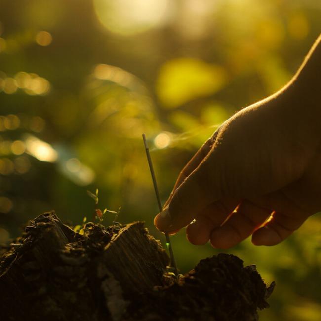 [Oth,] #2. 베르사유 정원에서 피크닉