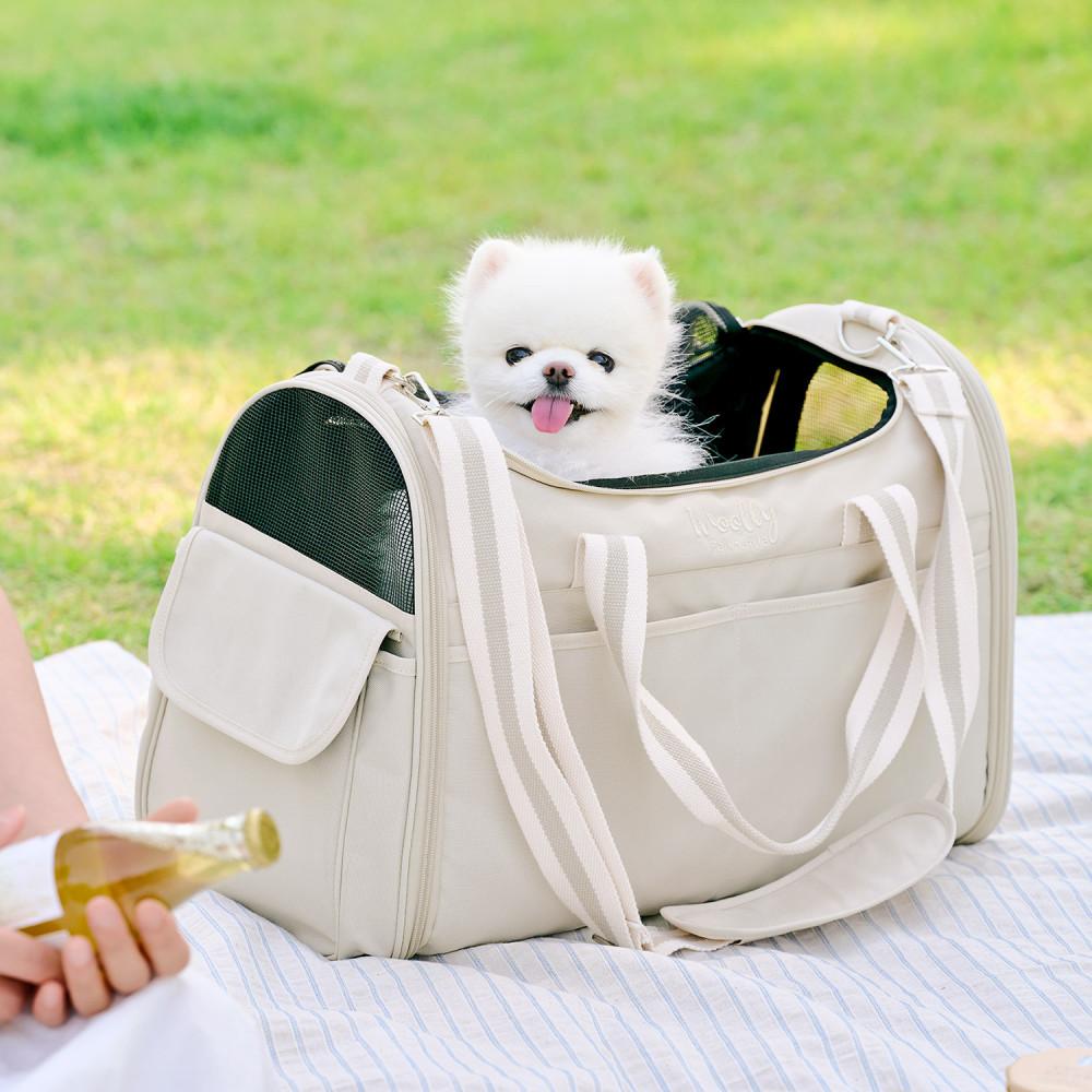 울리 숨쉬는 강아지 이동가방 접이식 캐리어 기내용 이동장
