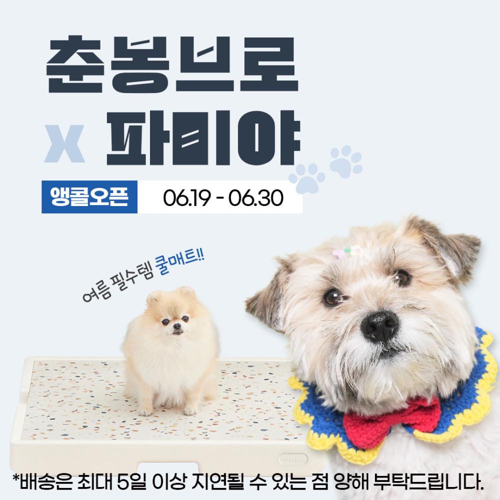 [공동구매2차] 춘봉브로x파미야 강아지 쿨매트 (+아이스팩2P 구성)