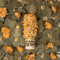 사후미토스 스머지스틱