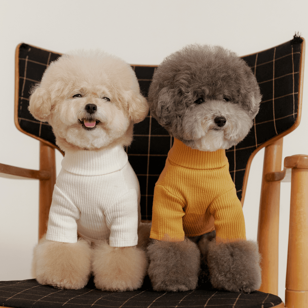 소프트 터틀넥 티셔츠 _ 5컬러