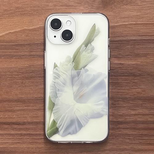 압:화 글라디올러스