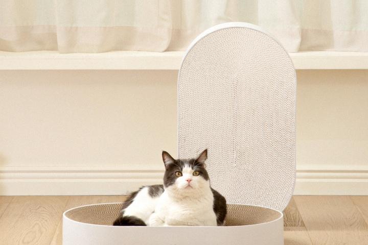 올데이보드 고양이 타원형 대형 화이트 스크래쳐