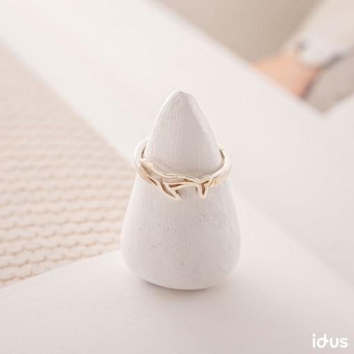 유영하는 혹등고래반지