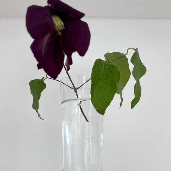 Hovmantorp Cylinder Glass