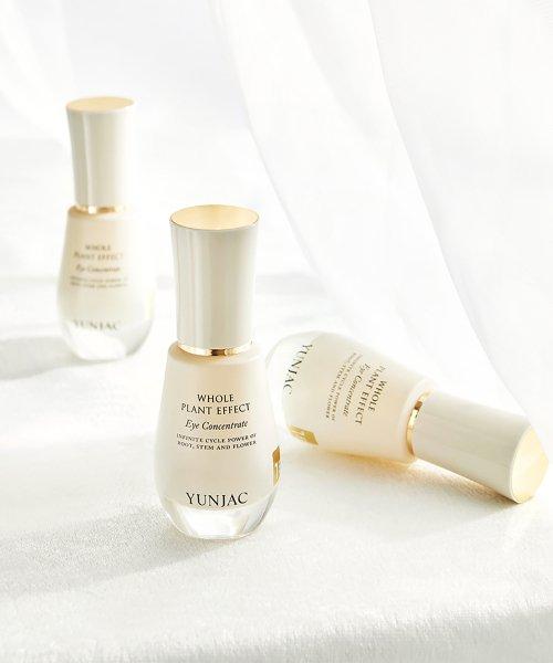 전초 아이 컨센트레이트