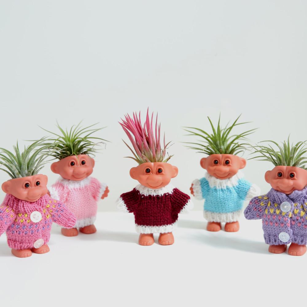 트롤화분+이오난사SET(5종) 공기정화식물 집들이선물 인테리어식물 데스크식물