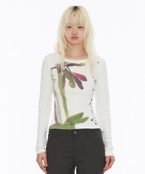 Flower Graphic Long Sleeve White