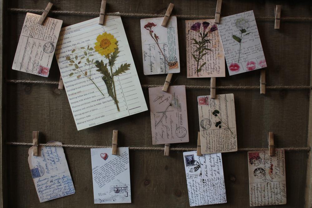 따뜻한 아날로그감성 빈티지스타일 보태니컬 포스터 빈티지엽서 모음 세트